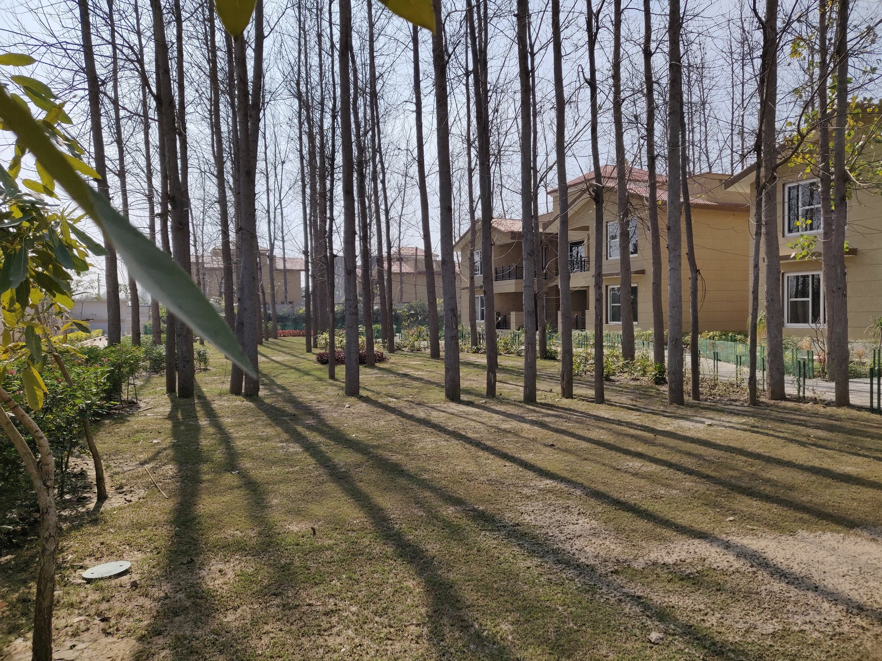 Project image 2